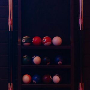 Freestyle Champion Pool Cue Case